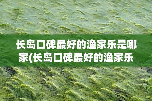 长岛口碑最好的渔家乐是哪家(长岛口碑最好的渔家乐是哪家店)
