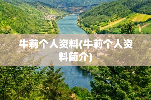 牛莉个人资料(牛莉个人资料简介)