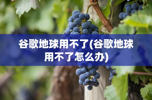 谷歌地球用不了(谷歌地球用不了怎么办)