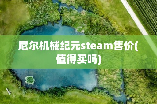 尼尔机械纪元steam售价(值得买吗)