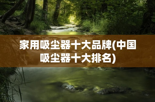 家用吸尘器十大品牌(中国吸尘器十大排名)