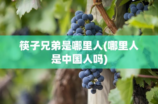 筷子兄弟是哪里人(哪里人是中国人吗)