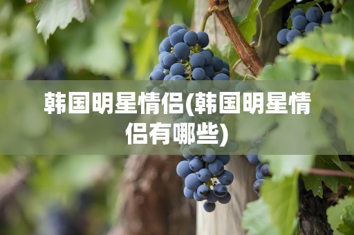 韩国明星情侣(韩国明星情侣有哪些)