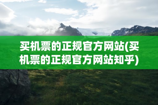 买机票的正规官方网站(买机票的正规官方网站知乎)