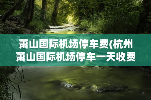 萧山国际机场停车费(杭州萧山国际机场停车一天收费多少)