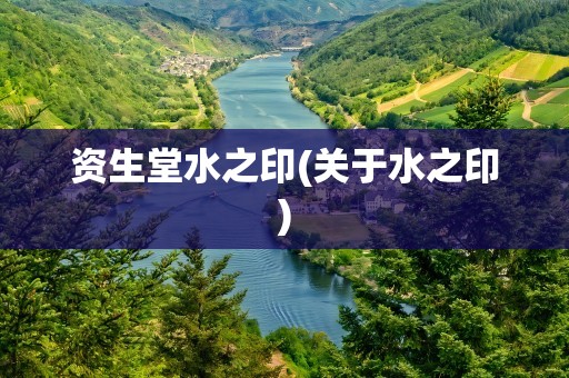 资生堂水之印(关于水之印)