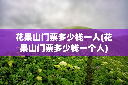 花果山门票多少钱一人(花果山门票多少钱一个人)