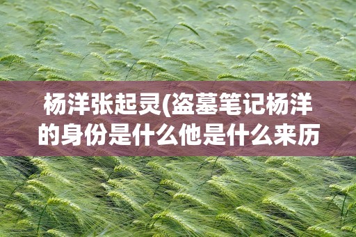 杨洋张起灵(盗墓笔记杨洋的身份是什么他是什么来历)