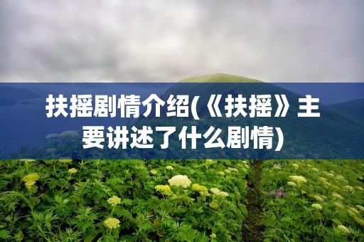 扶摇剧情介绍(《扶摇》主要讲述了什么剧情)
