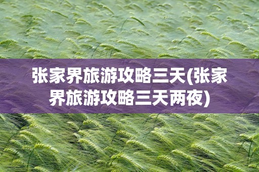 张家界旅游攻略三天(张家界旅游攻略三天两夜)