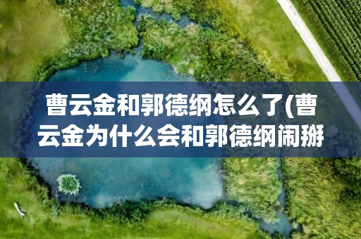 曹云金和郭德纲怎么了(曹云金为什么会和郭德纲闹掰)