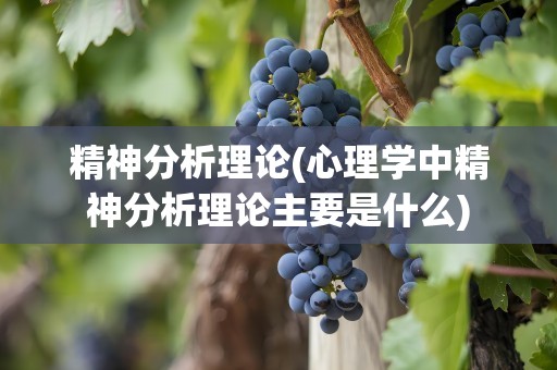 精神分析理论(心理学中精神分析理论主要是什么)