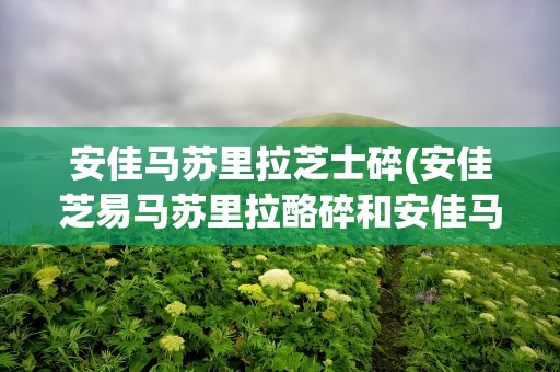 安佳马苏里拉芝士碎(安佳芝易马苏里拉酪碎和安佳马苏里拉不同)