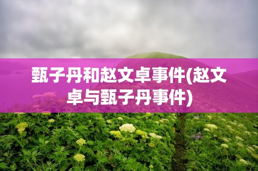 甄子丹和赵文卓事件(赵文卓与甄子丹事件)