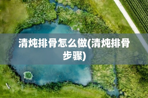 清炖排骨怎么做(清炖排骨步骤)