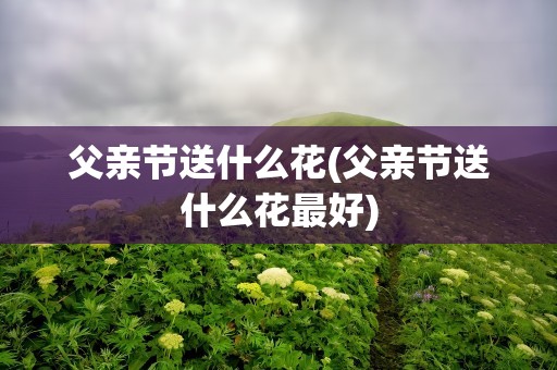 父亲节送什么花(父亲节送什么花最好)