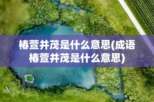 椿萱并茂是什么意思(成语椿萱并茂是什么意思)