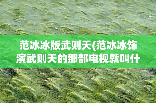 范冰冰版武则天(范冰冰饰演武则天的那部电视就叫什么名字)
