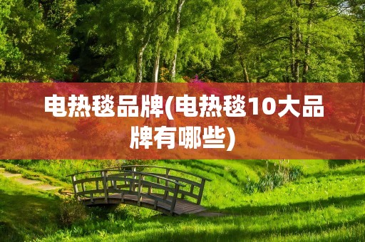 电热毯品牌(电热毯10大品牌有哪些)