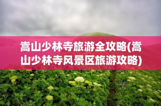 嵩山少林寺旅游全攻略(嵩山少林寺风景区旅游攻略)