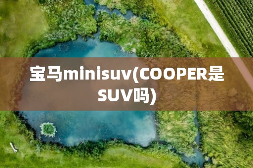 宝马minisuv(COOPER是SUV吗)