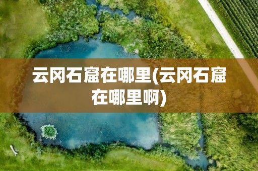 云冈石窟在哪里(云冈石窟在哪里啊)