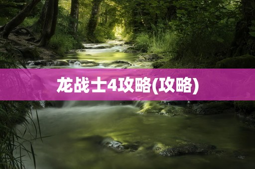 龙战士4攻略(攻略)