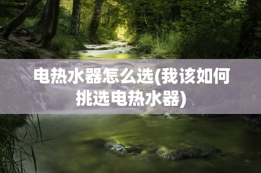 电热水器怎么选(我该如何挑选电热水器)