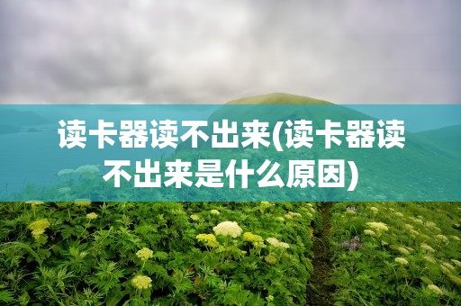 读卡器读不出来(读卡器读不出来是什么原因)