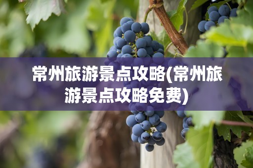 常州旅游景点攻略(常州旅游景点攻略免费)