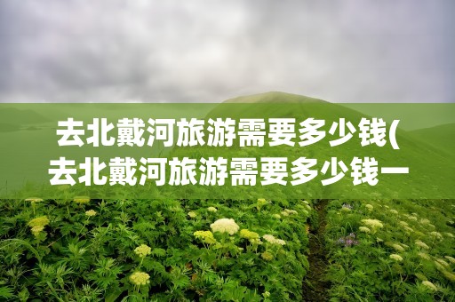 去北戴河旅游需要多少钱(去北戴河旅游需要多少钱一天)
