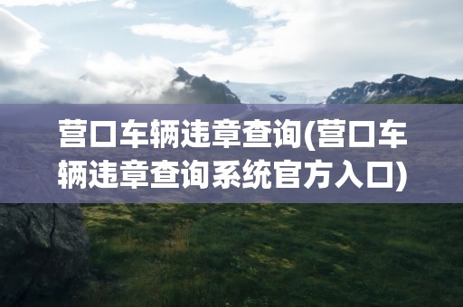 营口车辆违章查询(营口车辆违章查询系统官方入口)