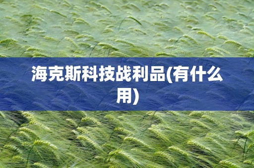 海克斯科技战利品(有什么用)