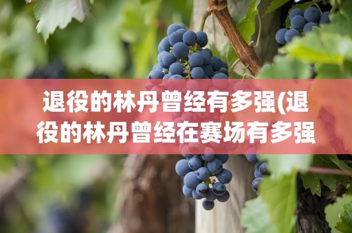 退役的林丹曾经有多强(退役的林丹曾经在赛场有多强)