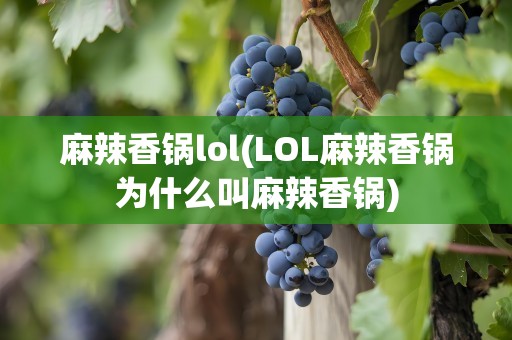 麻辣香锅lol(LOL麻辣香锅为什么叫麻辣香锅)