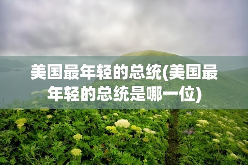 美国最年轻的总统(美国最年轻的总统是哪一位)