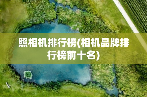 照相机排行榜(相机品牌排行榜前十名)