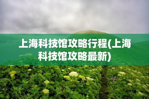 上海科技馆攻略行程(上海科技馆攻略最新)