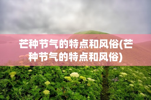 芒种节气的特点和风俗(芒种节气的特点和风俗)