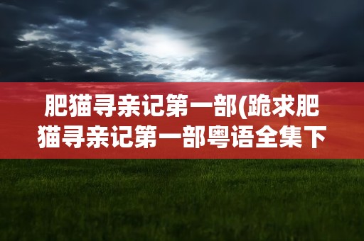 肥猫寻亲记第一部(跪求肥猫寻亲记第一部粤语全集下载!!感激不尽!!)