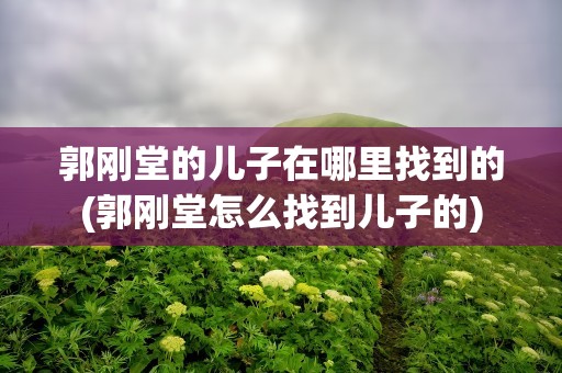郭刚堂的儿子在哪里找到的(郭刚堂怎么找到儿子的)