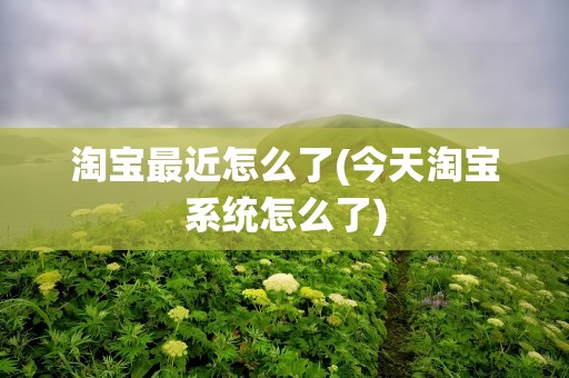 淘宝最近怎么了(今天淘宝系统怎么了)