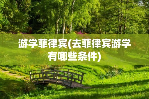 游学菲律宾(去菲律宾游学有哪些条件)