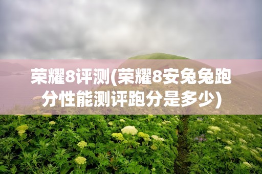 荣耀8评测(荣耀8安兔兔跑分性能测评跑分是多少)