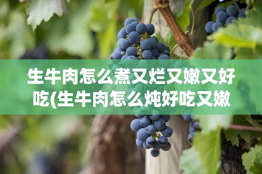 生牛肉怎么煮又烂又嫩又好吃(生牛肉怎么炖好吃又嫩)