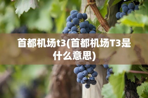 首都机场t3(首都机场T3是什么意思)