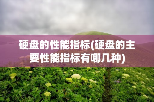硬盘的性能指标(硬盘的主要性能指标有哪几种)