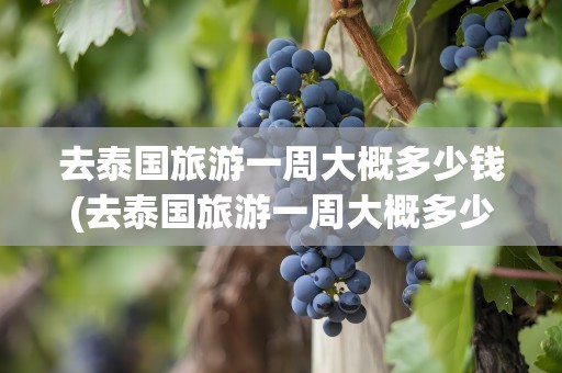 去泰国旅游一周大概多少钱(去泰国旅游一周大概多少钱跟团)