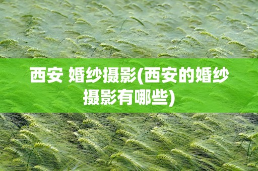 西安 婚纱摄影(西安的婚纱摄影有哪些)