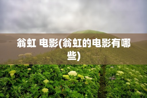 翁虹 电影(翁虹的电影有哪些)